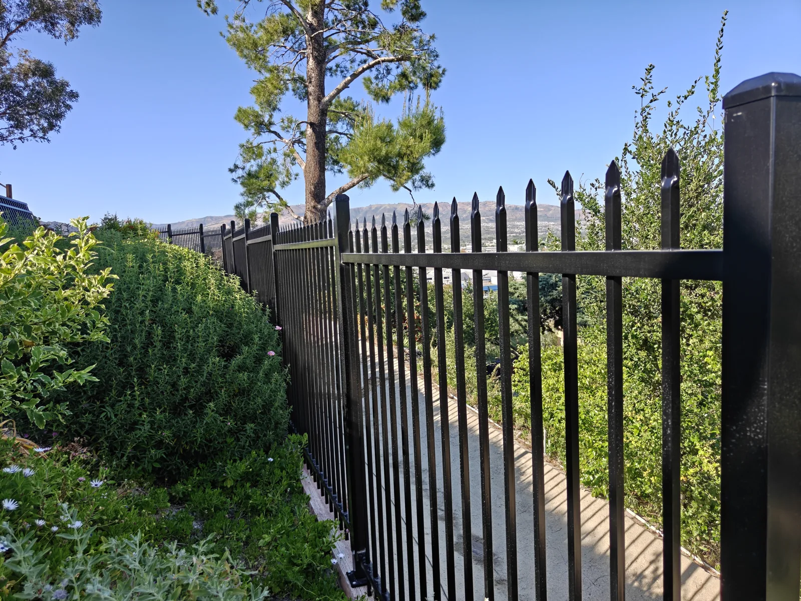 6-foot black wrought iron backyard fence in West Hills, CA, built to keep coyotes out, by Apexguard Fence