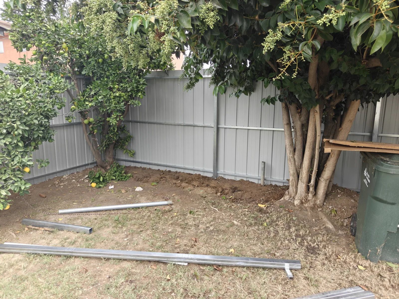 Backyard side of the corrugated steel privacy fence behind a mature tree in Whittier, CA by Apexguard Fence